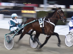 Alittlebitlater 180123-1